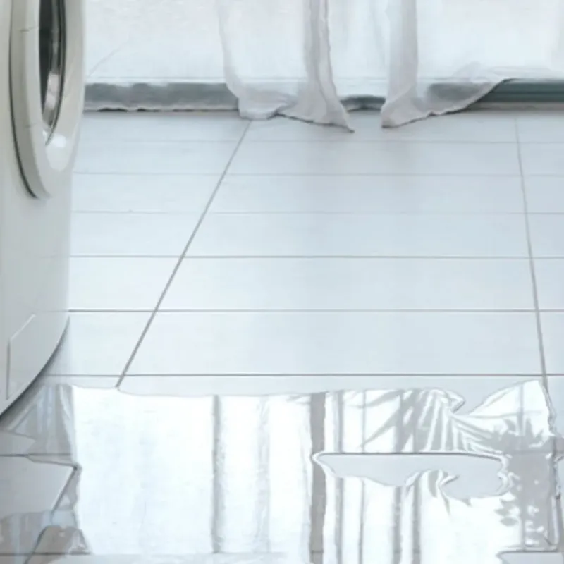 Appliance Leak Cleanup in Preston, MN