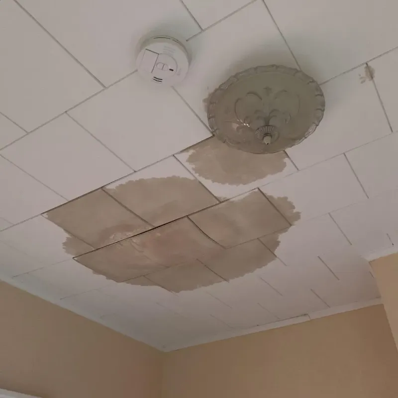 Ceiling Water Damage Repair in Preston, MN